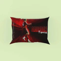 Fernando Torres Professional Soccer Player Pillow Case